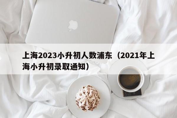 上海2023小升初人数浦东（2021年上海小升初录取通知）
